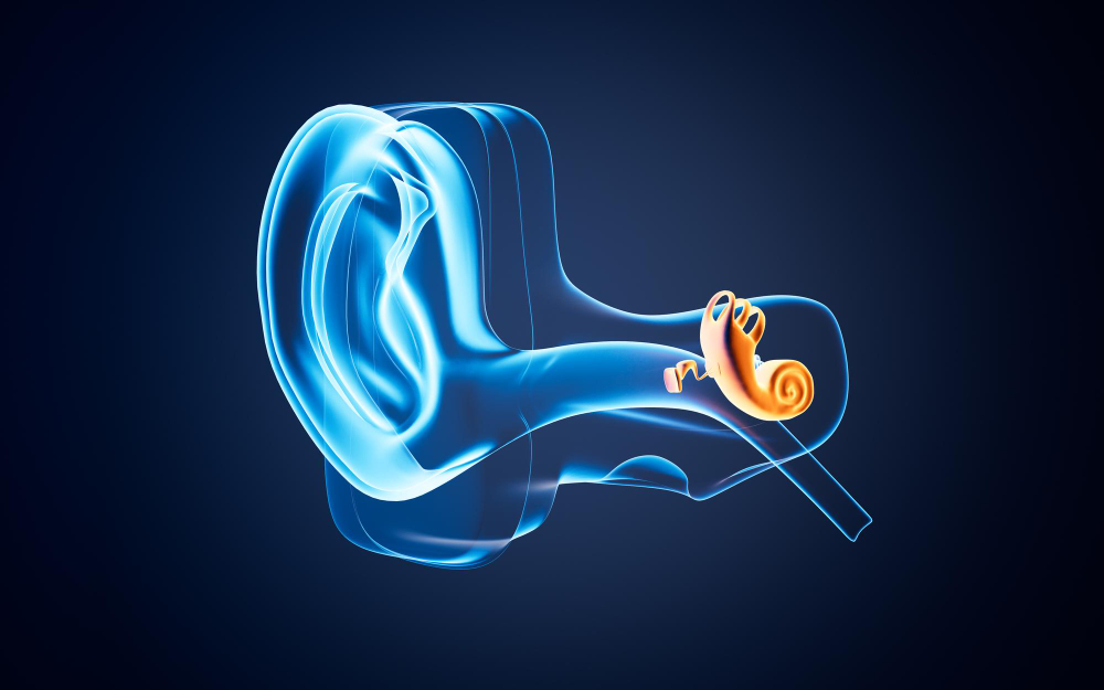 تجربتي مع زراعة القوقعة